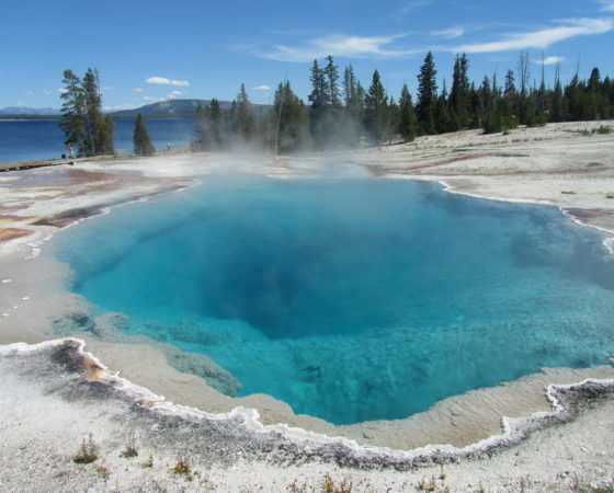 Yellowstone Thermal Pool